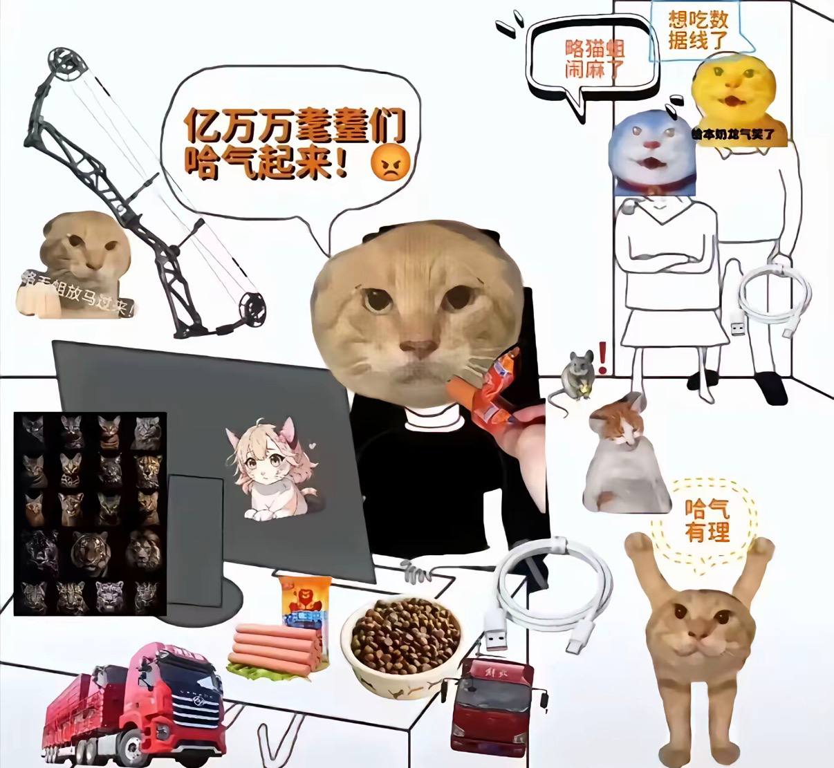 打工猫 - 要求更高的币价